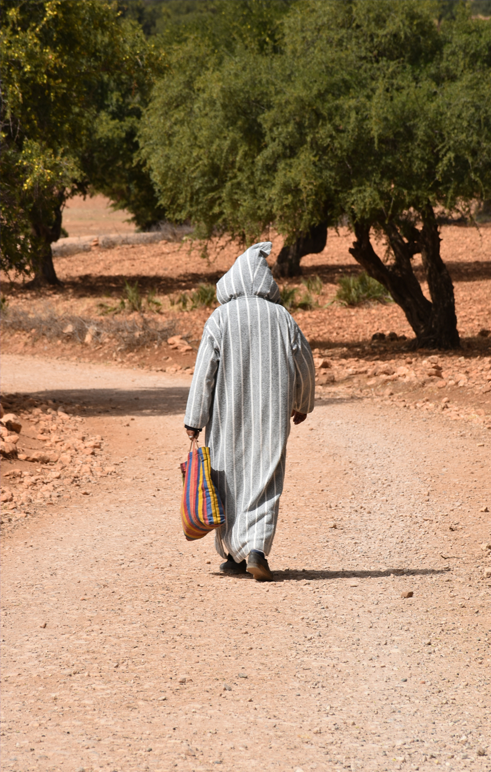 モロッコ現地人