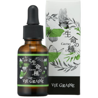 VIE GRAINE 生命の種 Cactus（カクタス）