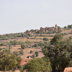 アルガンオイル発祥の地、モロッコについて