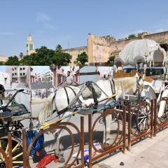 モロッコ料理とアルガンオイル