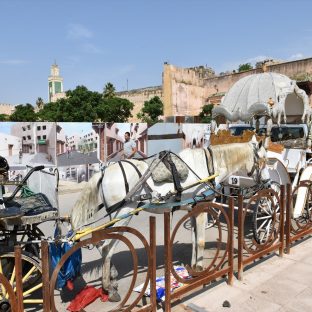 モロッコ料理とアルガンオイル